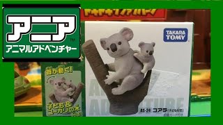 アニア AS-24 コアラ 開封済動画 アニア AS-24 コアラ (00337)