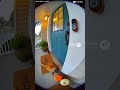 The Cat That Rings the Bell and Waits #funnycat #catvideo #ringdoorbell