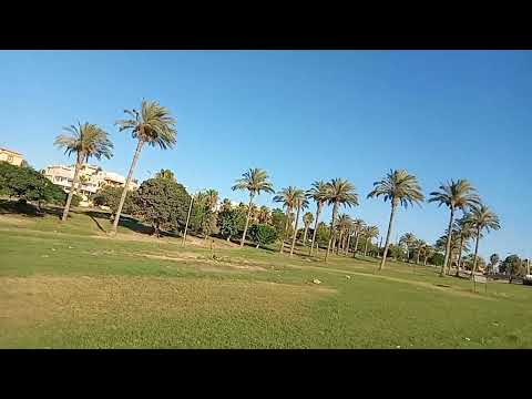 حديقه خضراء احلى مناظر جميله طبيعيه