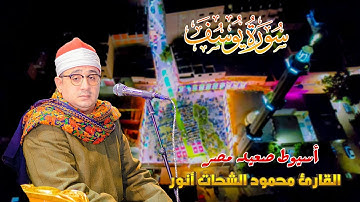 افراح صعيد مصر | سورة يوسف للشيخ #محمود_الشحات بإحساس عجيب وإبداع تعدى الحدود ✨🤍