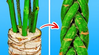 Surprising Gardening Hacks To Grow Your Own Plants