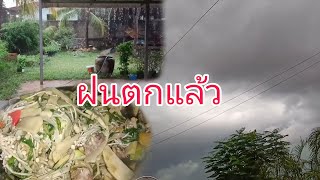 ฝนตกแกงหน่อไม้กินแซ่บๆ.มืดครึ้มมาเลย