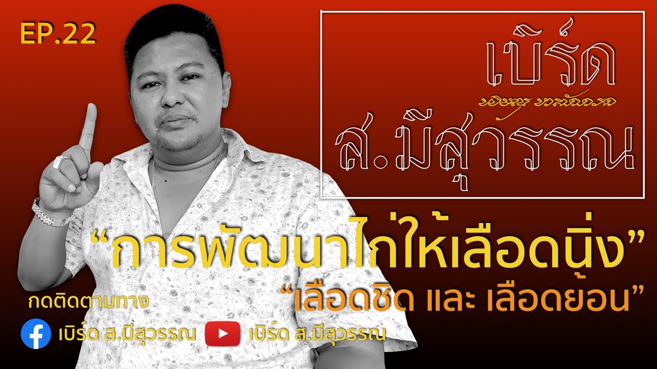 EP. พัฒนายังไง ให้เลือดนิ่ง