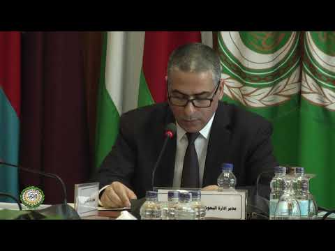 الجلسة الافتتاحية لورشة العمل المتخصصة بعنوان مراكز الفكر العربية والتنمية المستدامة