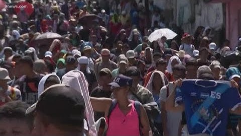 Immigration expert discusses the process of seeking asylum