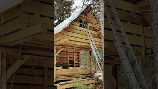 Building the Gable Ends at the Dovetail Log Cabin during the Canadian Winter