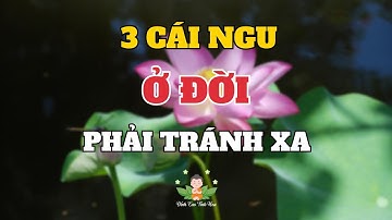 3 Cái Ngu Ở Đời Nên Tránh Càng Xa Càng Tốt - Đỉnh Cao Tinh Hoa