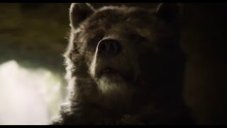 Mogli O Menino Lobo - Baloo - 14 De Abril Nos Cinemas