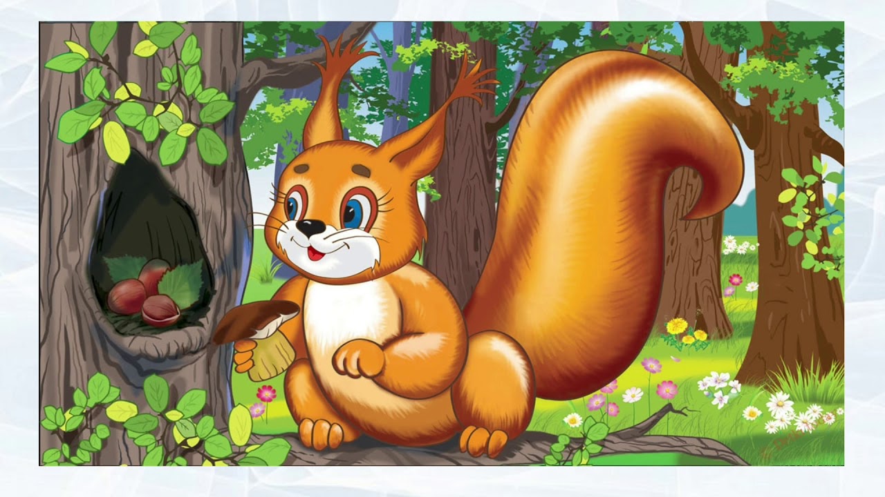 Белочка плачет картинка для детей