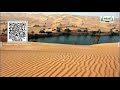 11th Geology உயிர்கோளம் உயிரினக் சூழ்வாழிடங்கள் அலகு 7 பகுதி 3 TM Kalvi TV