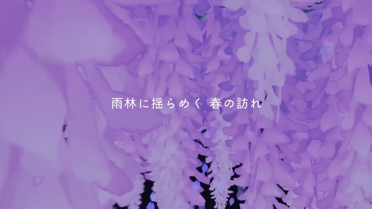 Sky 星を紡ぐ子どもたち 花笑む日々 ティザー Youtube