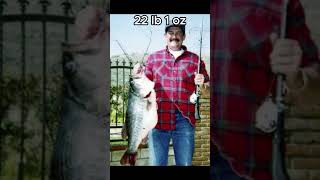 Top 5 Biggest Bass Caught in Every State: California Edition #bassfishing #fishing