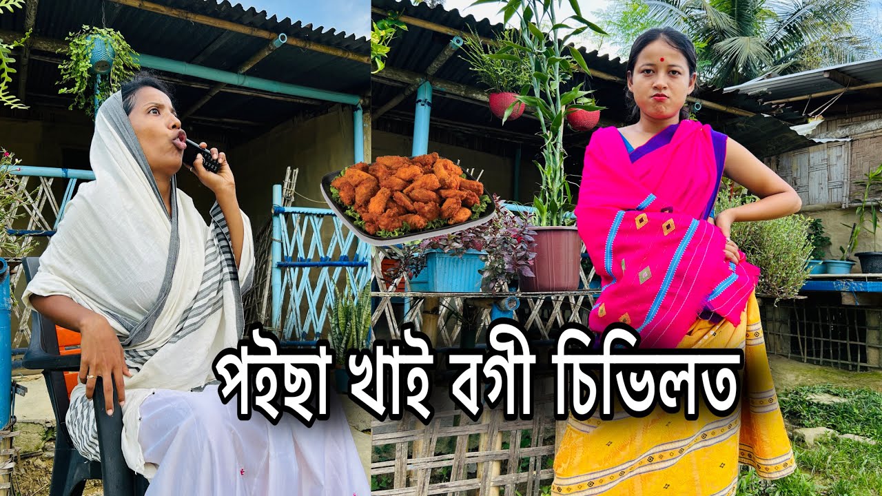 পইছা খাই বগী চিভিলত🏥