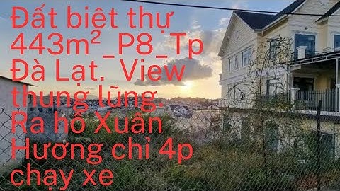 Đất Biệt Thự 443m² P8_Tp Đà Lạt, View Thung Lũng. Cách Hồ Xuân Hương, Vườn Hoa Tp 1,5km. Giá 36tr/m²