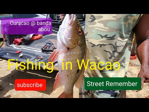 Videó: A Legjobb Tennivalók Curaçao-ban