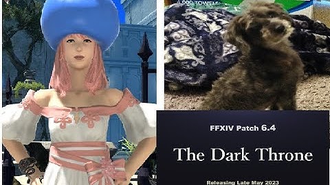 The Road to FFXIV Patch 6.3 Part 1