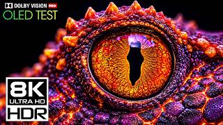 BEST OLED Display Test in 8K Dolby Vision HDR 60fps for 4K • 8K Video Ultra HD TVs