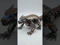 A compact Komodo dragon. #komodo #dragon #transformation