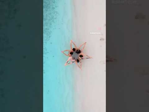 اینجا زندگی یه مدل دیگه جریان داره بر خلاف شهر جزیره دریا قشم