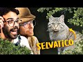 Dal GATTO SELVATICO a quello DOMESTICO | Lo Zoo di Dario e Willy (ft. ZooSparkle)
