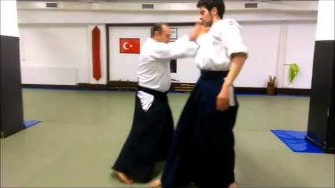 Shomen Uchi Shiho Nage