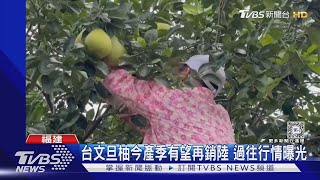 1斤40塊恐都嫌貴! 台文旦柚再銷陸挑戰 貿易商:消費降級｜TVBS新聞 @TVBSNEWS01