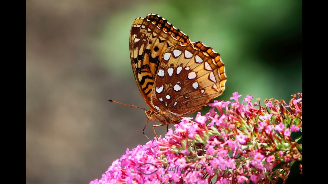 Meditación Guiada - Aceptar el Momento Tal Como Es
