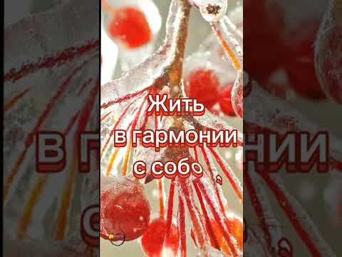 С днём ангела, Нина! Нежное поздравление для Нины! #сднемангеланина #поздравлениенине #нина
