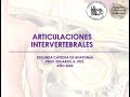 L1.2 | Articulaciones intervertebrales | Anatomía 2 | FMed UBA