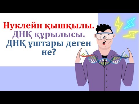 Бейне: Ағзаның генетикалық ақпаратын тасымалдайтын тізбек дегеніміз не?