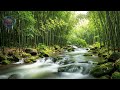 Deep-relaxation-music-meditation 🌿,