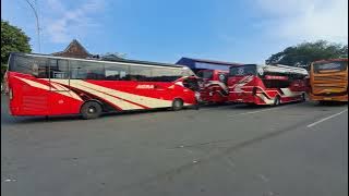 Wow, it's really busy‼️ afternoon bus from Jatistono terminal