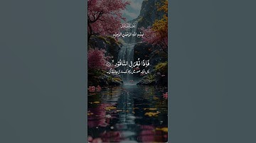 تلاوات هادئة تريح القلب #قران_كريم #قرآن #راحة_نفسية #لايك #المصحف #اكسبلور #explore