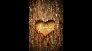 Acha Septriasa feat Irwansyah - My Heart Ost Orchestra Instrumental