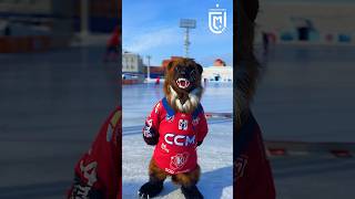 Наш 13-ый игрок 🔥🔥 Росомаха #живирусскимхоккеем #bandy #hockey #highlights #sport