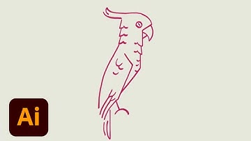 Draw Along with Kyle T. Webster - Cockatoo | Adobe Creative Cloud