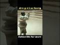 कीड़े के मुंह से ये क्या निकला 😱 full movie explain in hindi/urdu #shorts #movieexplainedinhindi