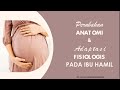 11+ Anatomi Fisiologi Kehamilan