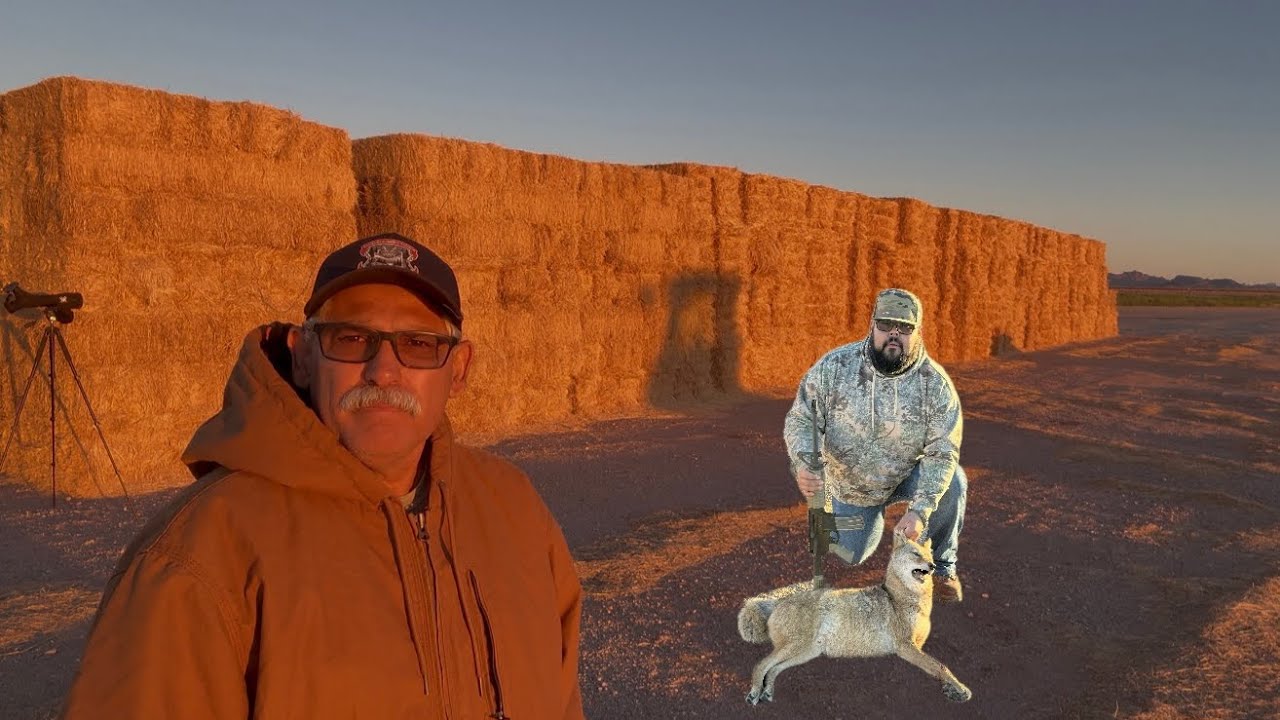 Scouting Deer, Dropping Coyotes!