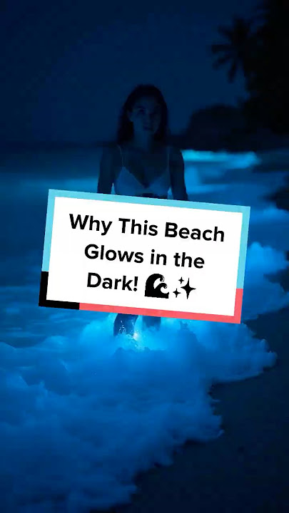 Why This Beach Glows in the Dark! 🌊✨
