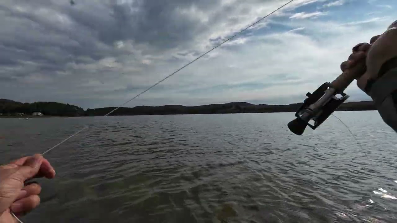 Havsöring fiske 🎣🎣🎣 