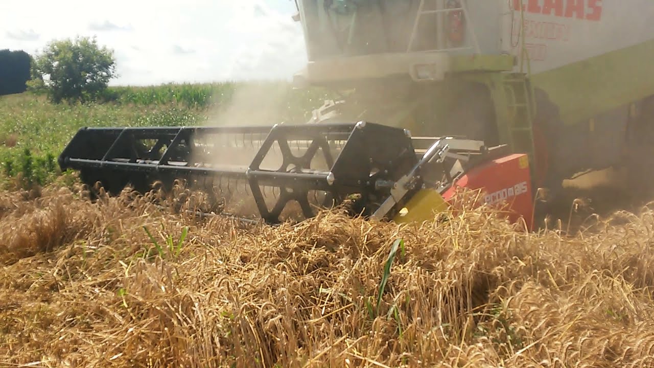 Tecnomais Srl - Testata soia nel grano