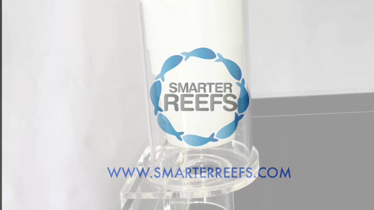 Reefsicle Frozen Fish Food Feeder Youtube