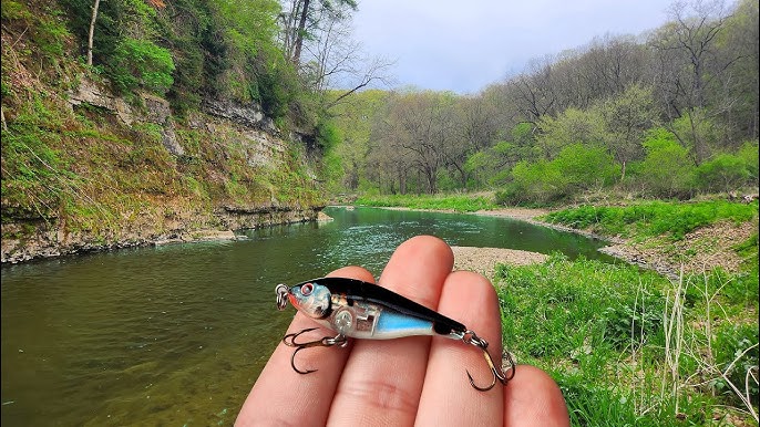 Fishing with the World's SMALLEST Crankbait? The Rapala CD-1 (Lake Estes,  CO) 