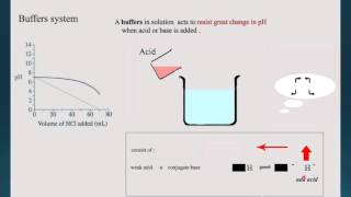 32          BUFFER SYSTEM                HSC Chemistry