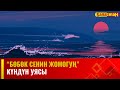 Күндүн уясы | БӨБӨК СЕНИН ЖОМОГУҢ | 23.01.2024