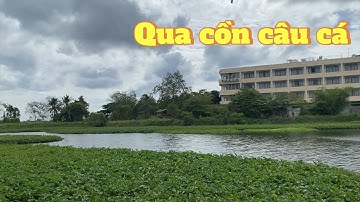 Trở lại cồn Khương câu cá , một ngày câu bất ổn