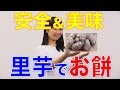 【年末特集】安全&おいしい!里芋モチのススメ 口腔ケアチャンネル 616(口腔ケアチャンネル2 #289)