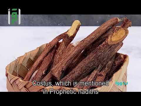 Costus indien naturel en morceaux - Al Qist Al-Hindi - القسط الهندي