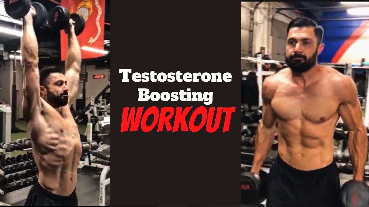 Testosterone Boosting Workout Youtube